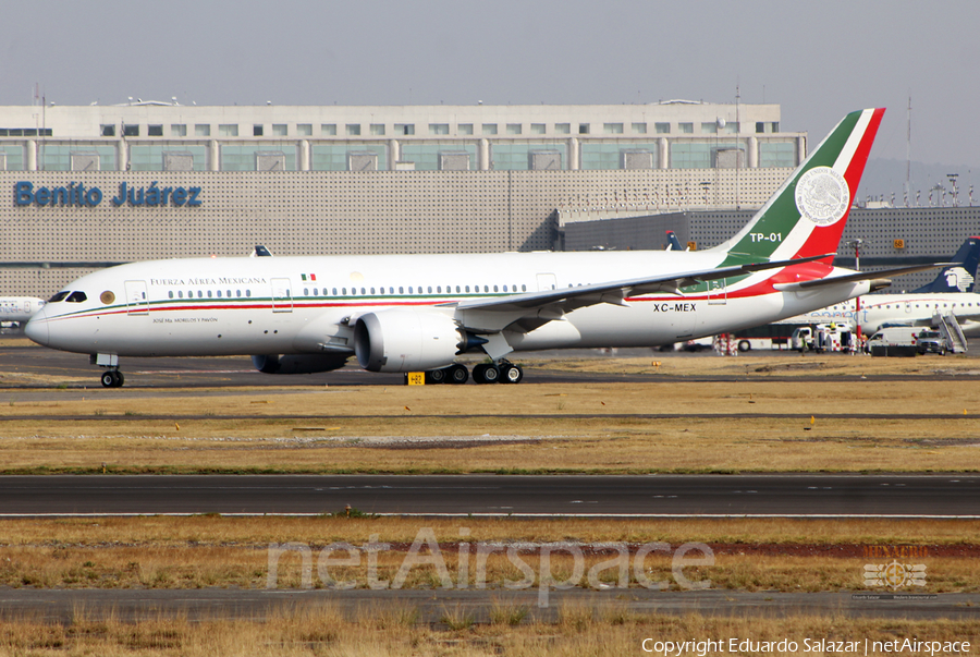 Mexican Air Force (Fuerza Aerea Mexicana) Boeing 787-8 Dreamliner (TP-01) | Photo 411967