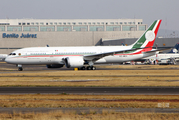 Mexican Air Force (Fuerza Aerea Mexicana) Boeing 787-8 Dreamliner (TP-01) at  Mexico City - Lic. Benito Juarez International, Mexico