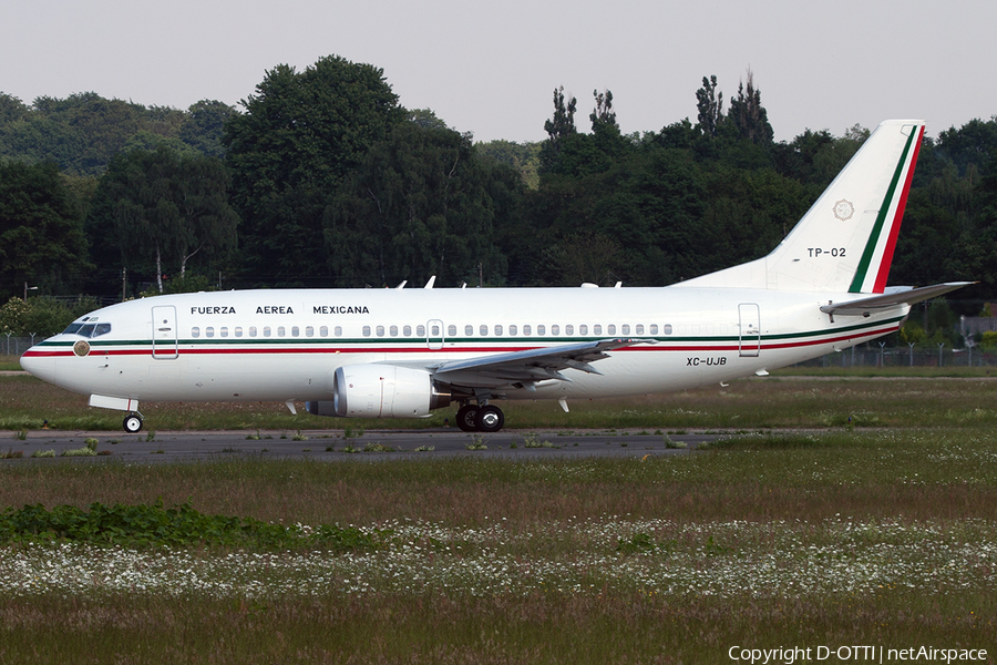Mexican Air Force (Fuerza Aerea Mexicana) Boeing 737-33A (XC-UJB) | Photo 201339