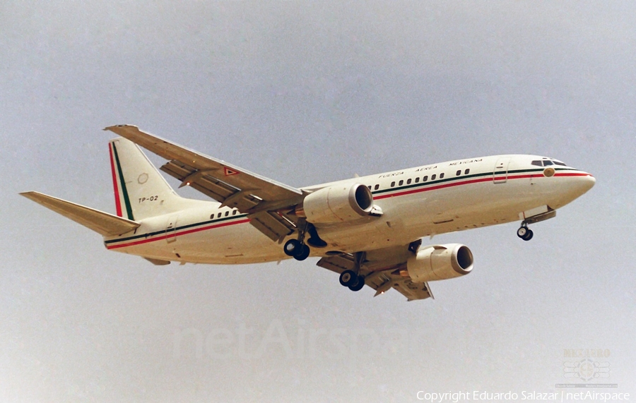 Mexican Air Force (Fuerza Aerea Mexicana) Boeing 737-33A (XC-UJB) | Photo 238317