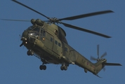 Royal Air Force Aerospatiale SA330 Puma HC1 (XW226) at  Belfast / Aldergrove - International, United Kingdom