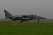 Royal Air Force SEPECAT Jaguar GR.3A (XX723) at  Florennes AFB, Belgium