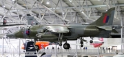 Royal Air Force BAe Systems Harrier GR.3 (XZ133) at  Duxford, United Kingdom