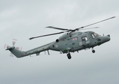 Royal Navy Westland Lynx HAS.3S (XZ228) at  Portrush, United Kingdom