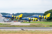 Baltic Bees Jet Team Aero L-39C Albatros (YL-KSP) at  Memmingen, Germany