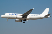 IndiGo Airbus A320-232 (YL-LDT) at  Mumbai - Chhatrapati Shivaji International, India