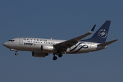 TAROM Boeing 737-78J (YR-BGF) at  Frankfurt am Main, Germany