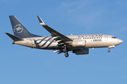 TAROM Boeing 737-78J (YR-BGF) at  Frankfurt am Main, Germany
