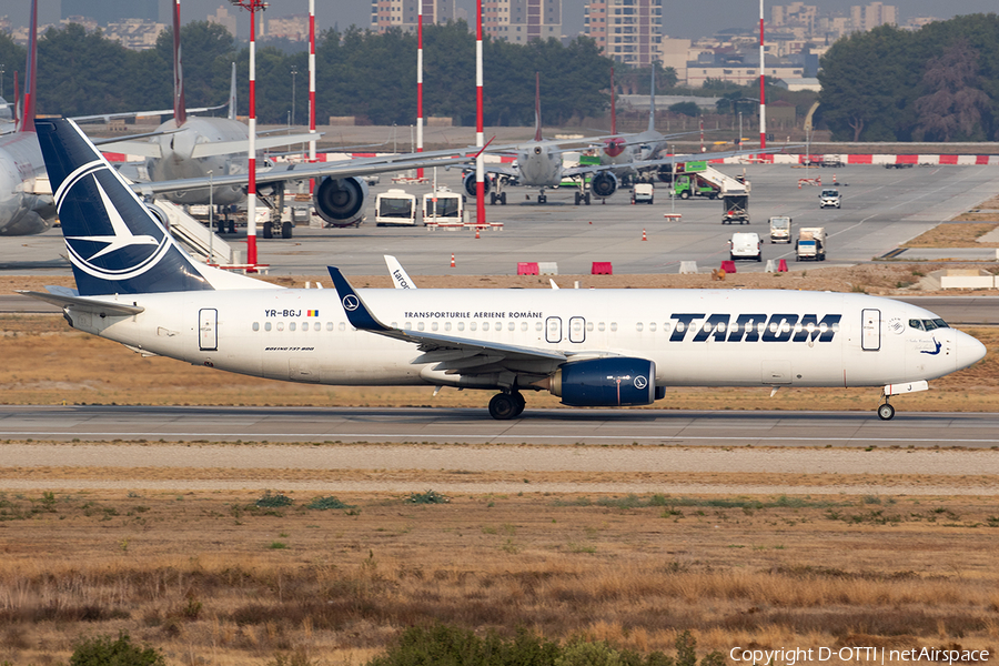 TAROM Boeing 737-82R (YR-BGJ) | Photo 647365
