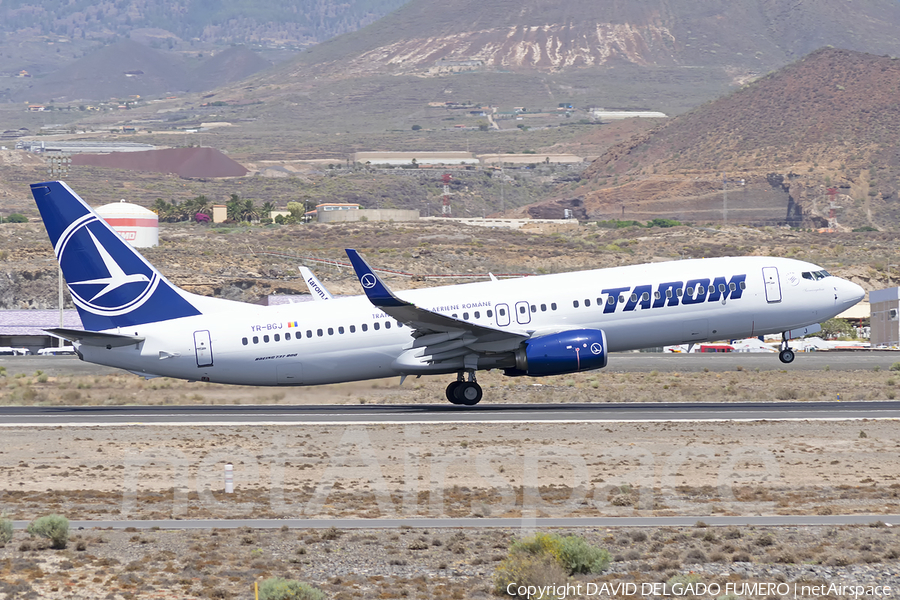 TAROM Boeing 737-82R (YR-BGJ) | Photo 262842