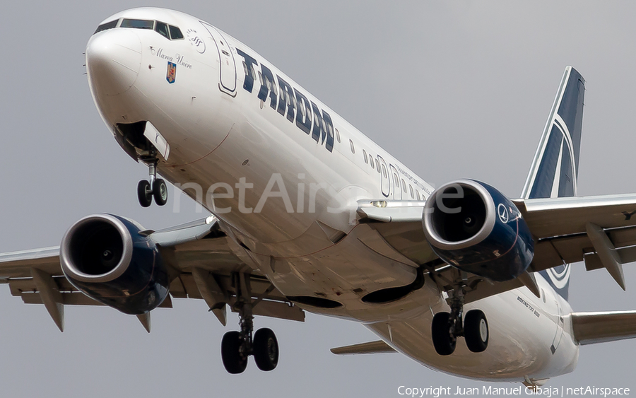TAROM Boeing 737-82R (YR-BGK) | Photo 394064