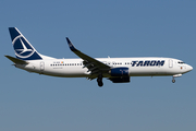 TAROM Boeing 737-82R (YR-BGK) at  Amsterdam - Schiphol, Netherlands