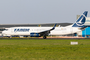 TAROM Boeing 737-8H6 (YR-BGL) at  Amsterdam - Schiphol, Netherlands