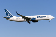 TAROM Boeing 737-8H6 (YR-BGL) at  Amsterdam - Schiphol, Netherlands