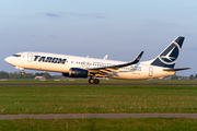 TAROM Boeing 737-8H6 (YR-BGM) at  Amsterdam - Schiphol, Netherlands