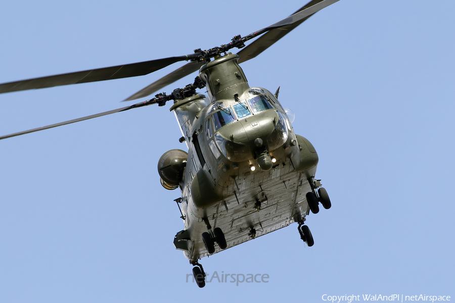 Royal Air Force Boeing Chinook HC.6A (ZA680) | Photo 513891