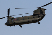 Royal Air Force Boeing Chinook HC.4 (ZA705) at  Berlin - Schoenefeld, Germany