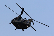 Royal Air Force Boeing Chinook HC.4 (ZA705) at  Berlin - Schoenefeld, Germany