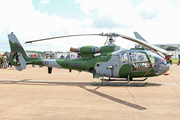 United Kingdom Army Air Corps Westland Gazelle AH.1 (ZB693) at  RAF Fairford, United Kingdom