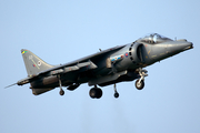 Royal Air Force BAe Systems Harrier GR.7 (ZD322) at  Shoreham, United Kingdom