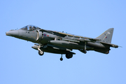 Royal Air Force BAe Systems Harrier GR.7A (ZD348) at  RNAS-Yeovilton, United Kingdom
