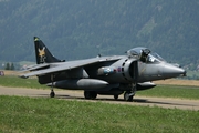 Royal Navy BAe Systems Harrier GR.7 (ZD407) at  Zeltweg, Austria