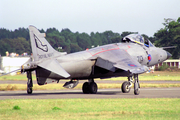 Royal Navy BAe Systems Sea Harrier FRS.1 (ZD610) at  Bournemouth - International (Hurn), United Kingdom