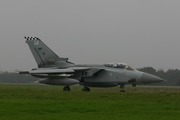 Royal Air Force Panavia Tornado F3 (ZE203) at  Florennes AFB, Belgium