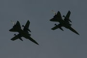 Royal Air Panavia Tornado F3 (ZE834) at  Florennes AFB, Belgium