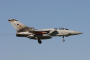 Royal Air Force Panavia Tornado F3 (ZE968) at  Florennes AFB, Belgium