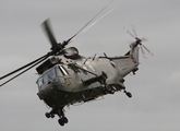 Royal Navy Westland Sea King HC.4 (ZF121) at  Portrush, United Kingdom