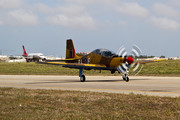 Royal Air Force Short Tucano T.1 (ZF239) at  Luqa - Malta International, Malta