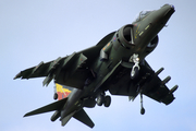 Royal Air Force BAe Systems Harrier GR.7 (ZG531) at  Farnborough, United Kingdom