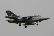 Royal Air Force Panavia Tornado F3 (ZG780) at  Florennes AFB, Belgium