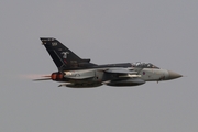 Royal Air Force Panavia Tornado F3 (ZG780) at  Florennes AFB, Belgium