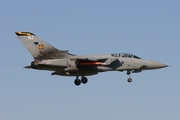 Royal Air Force Panavia Tornado F3 (ZG799) at  Florennes AFB, Belgium