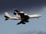 Royal Air Force Boeing E-3D Sentry AEW1 (ZH102) at  RAF - Leuchars, United Kingdom