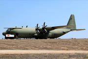 Royal Air Force Lockheed Martin C-130J-30 Hercules C.4 (ZH875) at  Luqa - Malta International, Malta