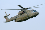 Royal Air Force AgustaWestland EH-101 Merlin HC.3 (ZJ131) at  Shoreham, United Kingdom
