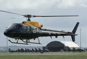 United Kingdom Army Air Corps Eurocopter AS350BB Squirrel HT2 (ZJ253) at  RAF Valley, United Kingdom