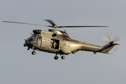 Royal Air Force Aerospatiale SA330 Puma HC2 (ZJ954) at  Glasgow - Prestwick, United Kingdom