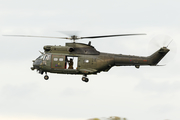 Royal Air Force Aerospatiale SA330 Puma HC2 (ZJ955) at  Glasgow - Prestwick, United Kingdom