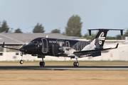 Air New Zealand Link (Eagle Airways) Beech 1900D (ZK-EAG) at  Christchurch - International, New Zealand