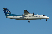 Air New Zealand Link (Air Nelson) de Havilland Canada DHC-8-311 (ZK-NEU) at  Auckland - International, New Zealand