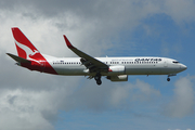 Qantas (Jetconnect) Boeing 737-838 (ZK-ZQC) at  Auckland - International, New Zealand