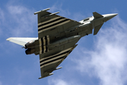 Royal Air Force (ZK308) at  Farnborough, United Kingdom