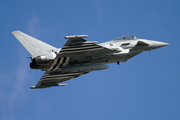 Royal Air Force (ZK308) at  Farnborough, United Kingdom