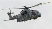 Polish Navy (Marynarka Wojenna) Leonardo AW101 Merlin 614 (ZR288) at  Radom, Poland