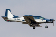 (Private) Pacific Aerospace 750XL (ZS-BLU) at  Johannesburg - O.R.Tambo International, South Africa