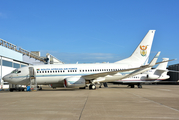 South African Air Force Boeing 737-7ED(BBJ) (ZS-RSA) at  Basel-Mulhouse - EuroAirport, France